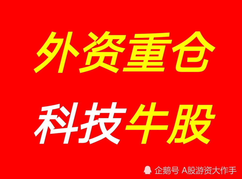 科技巨头解析，十大科技股龙头及股票代码详解