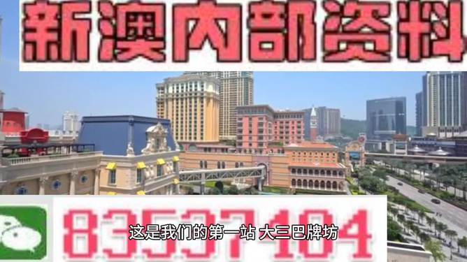 关于免费获取2024新澳精准资料的探讨——警惕违法犯罪风险,效率资料解释落实_精英版9.368