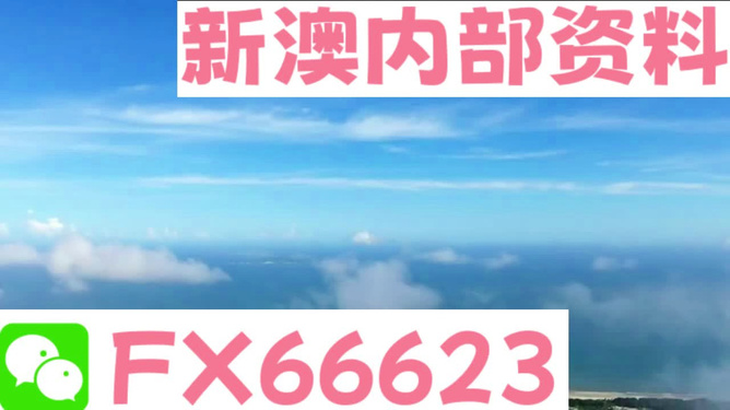 2024新澳天天资料免费大全,决策资料解释落实_储蓄版8.675