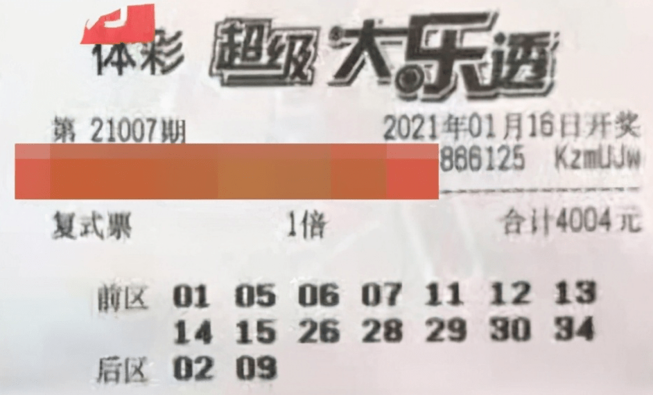 新澳2024今晚开奖资料揭秘，犯罪行为的警示与警惕之心