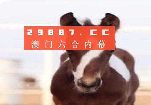 体育 第92页