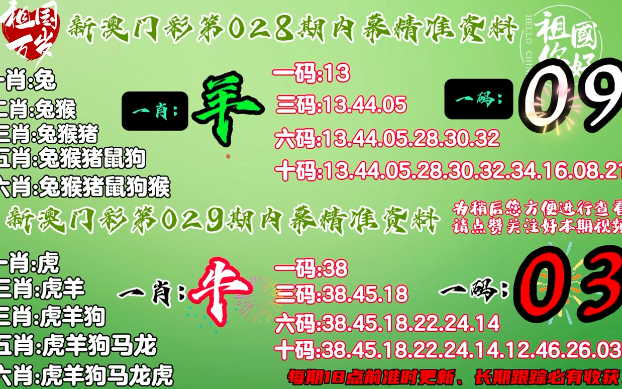 2004最准的一肖一码100%，效率资料解释落实_精英版9.399