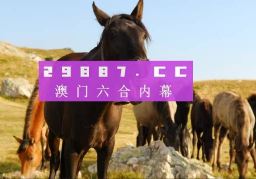 澳门管家婆-肖一码，最新核心解答落实_社交版6.588