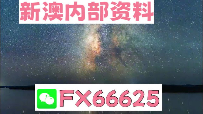 新澳天天彩免费资料2024老，决策资料解释落实_储蓄版6.484