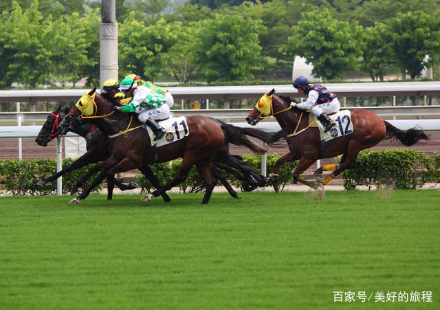 看香港正版精准特马资料，最新答案解释落实_免费版9.43