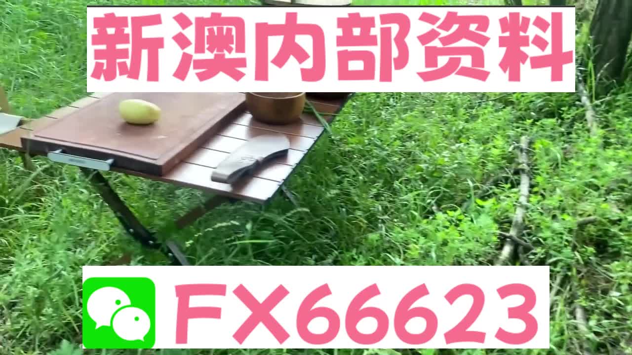 新澳资料免费精准期期准,研究解答解释落实_还原版78.33.33