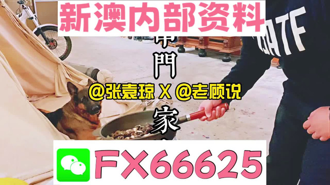 2024新澳门精准资料大全管家婆料,数据资料解释落实_探索版6.355