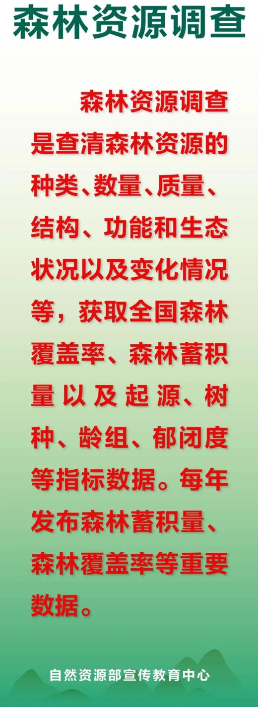 森林资源调查的种类及其重要性，科技成语下的界面版分析落实