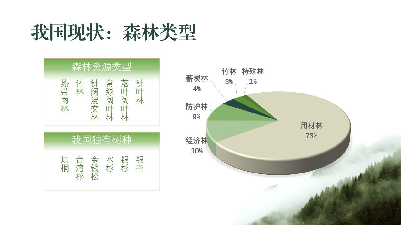 森林资源调查的类型及其重要性，预测解答解释落实的创新探讨（创新版）