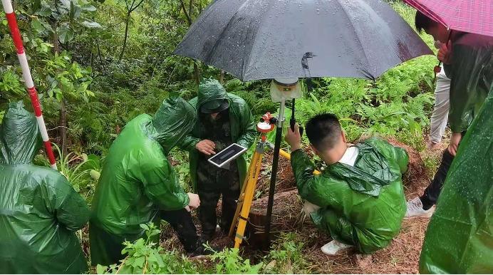 森林资源调查收费标准的最佳精选解释落实探讨，尊贵版详解（8.54版）