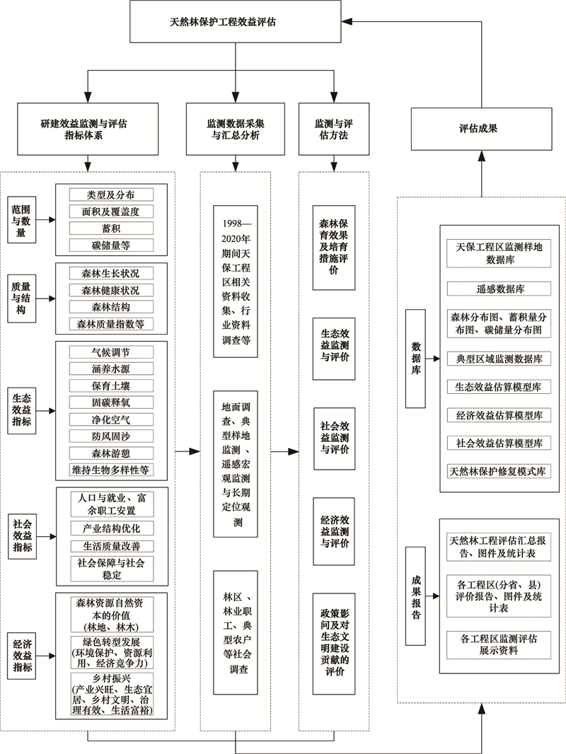 2024年11月5日 第41页