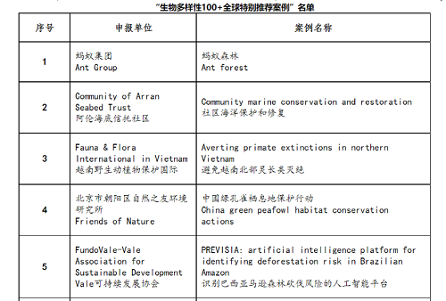 生物多样性报告收费标准解析，全面解读与科学解答的视频指南