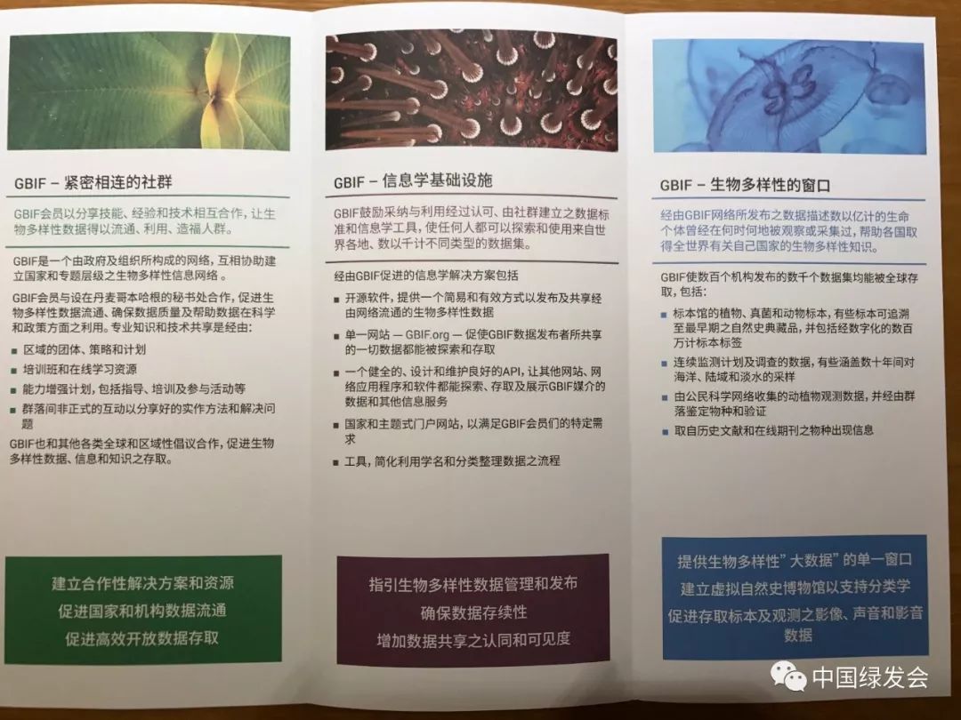 生物多样性报告编制的专业要求与资质认证详解，从理论到实践的全面解答_专家深度解读