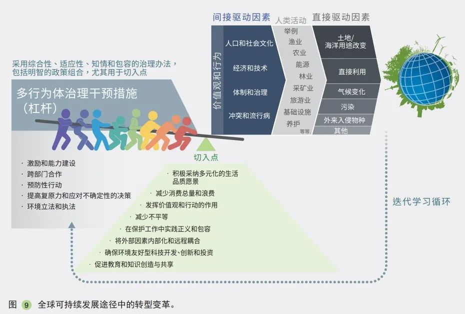 生物多样性报告审查的来源与过程深度解析，尊贵版8.54指南