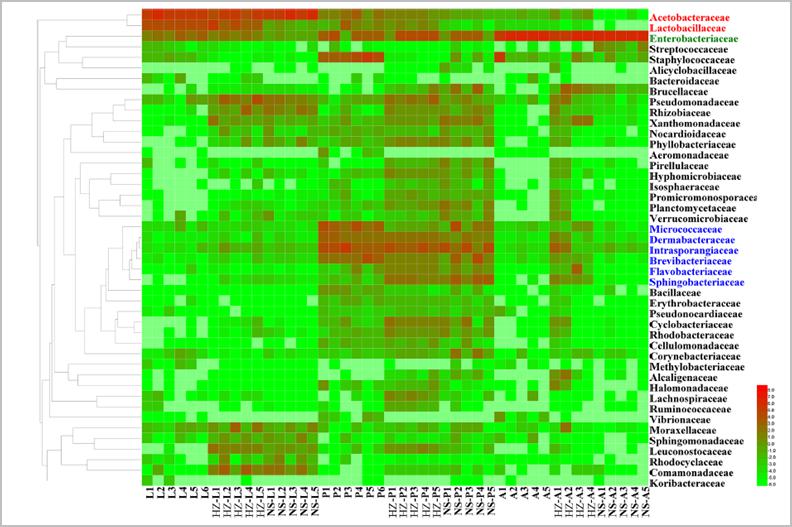 解读生物多样性报告数据来源优选方案解析说明_入门指南5.753