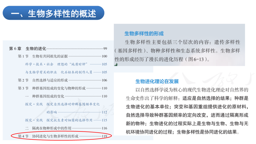 生物多样性报告制作指南，高质量视频报告科技成语分析与创意呈现