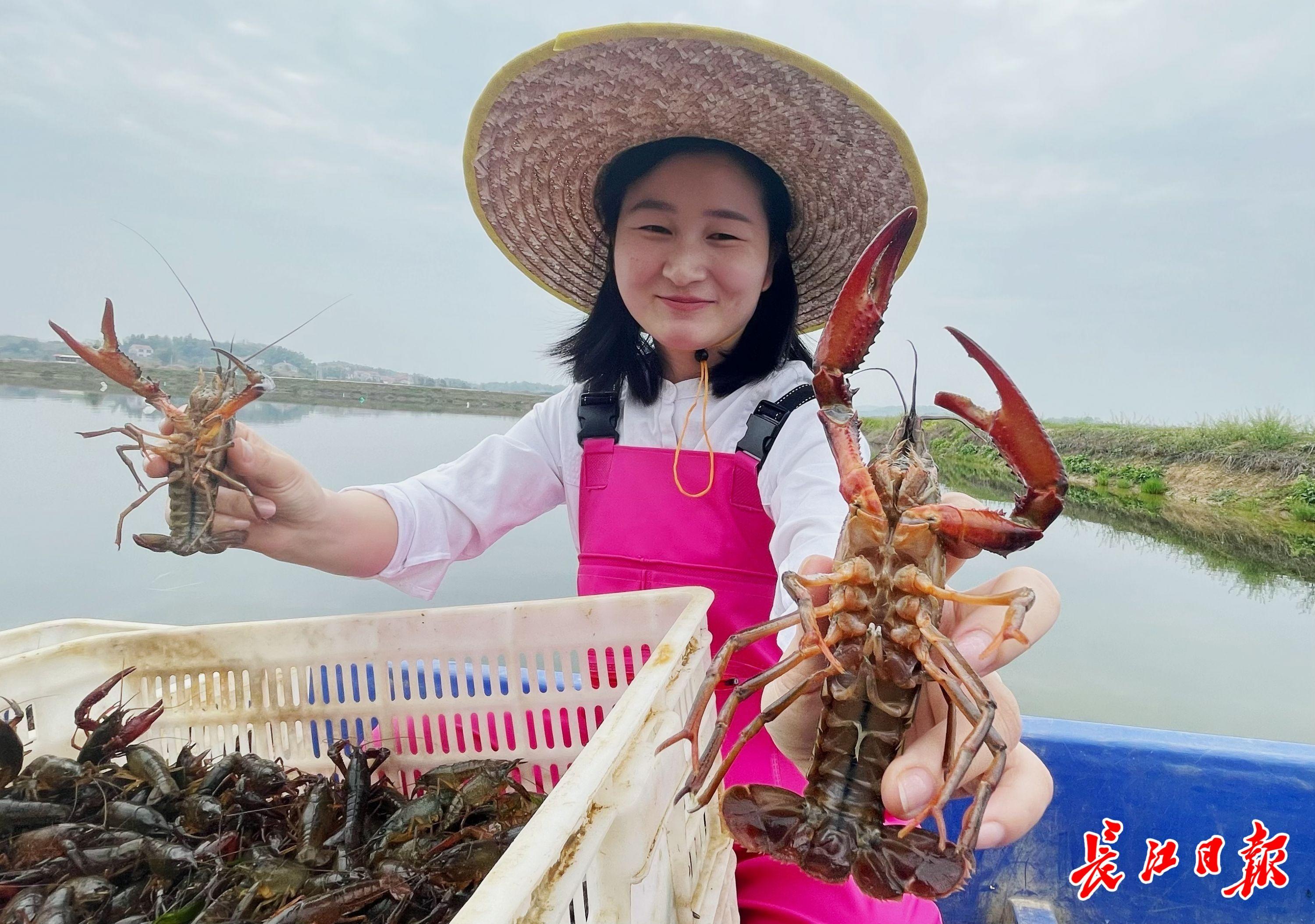 湿地占补平衡方案编写指南，数据资料解释与落实探索版（最新更新）