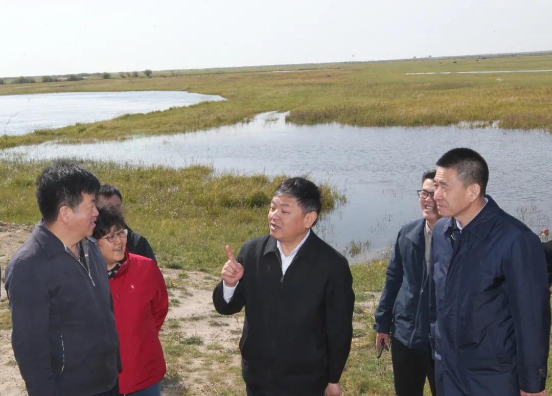 湿地占补平衡指标调度会，共谋湿地保护与发展之道，快速解答解释落实举措娱乐报道