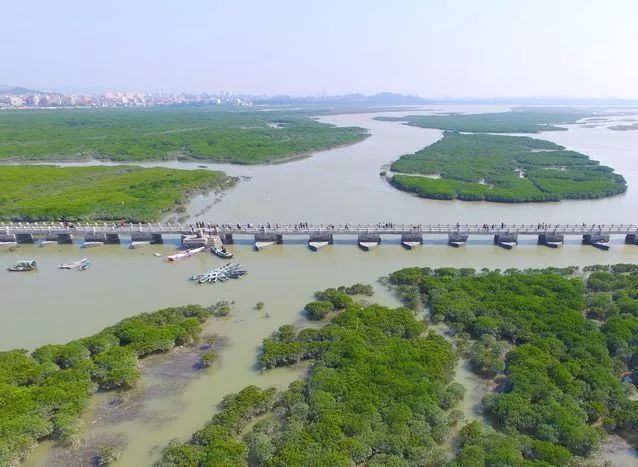 湿地占补平衡方案报告撰写指南，高质量湿地报告撰写与成语科技分析落实之道