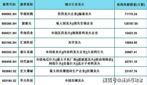 科技龙头股一览表，探索未来投资新高地——界面版科技成语分析与探索