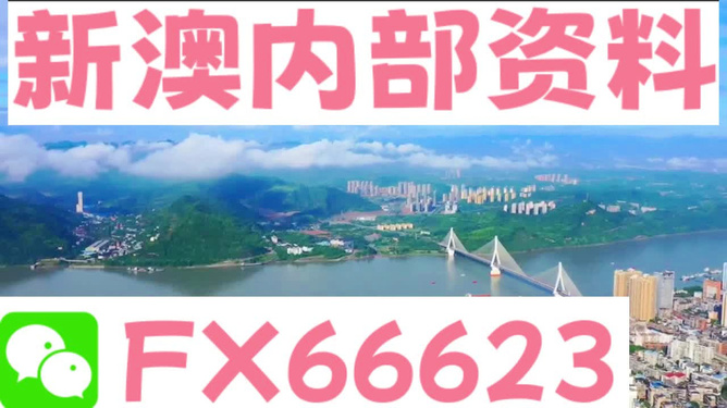 揭秘新澳精准资料与最新核心解答，社交版5.566全解析