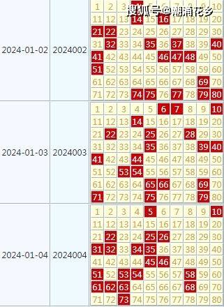 2024年天天彩资料免费大全，经典解释落实_户外版3.968