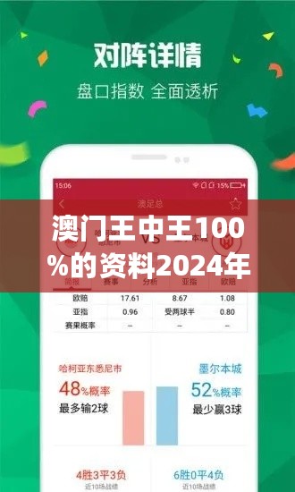 2024澳门王中王100%期期中，深入解答解释落实_黄金版89.89.39