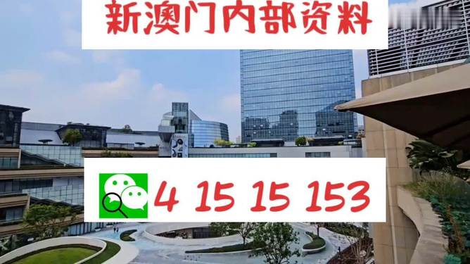 新澳门一码最精准的网站，最新核心解答落实_社交版2.299