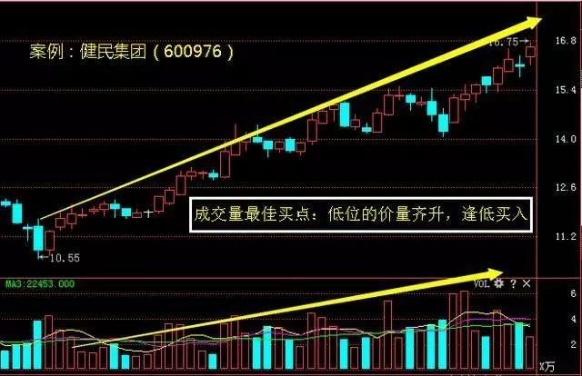 今晚开什么码香港今晚的，效率资料解释落实_精英版8.387