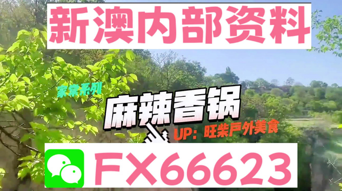 新澳精准资料免费提供，科技成语分析落实_HD3.699