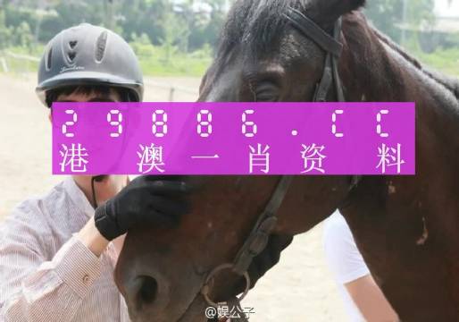 澳门一肖一码一必中一，决策资料解释落实_储蓄版2.899