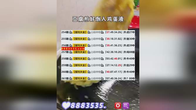 2024新澳正版开奖，效率资料解释落实_精英版8.392