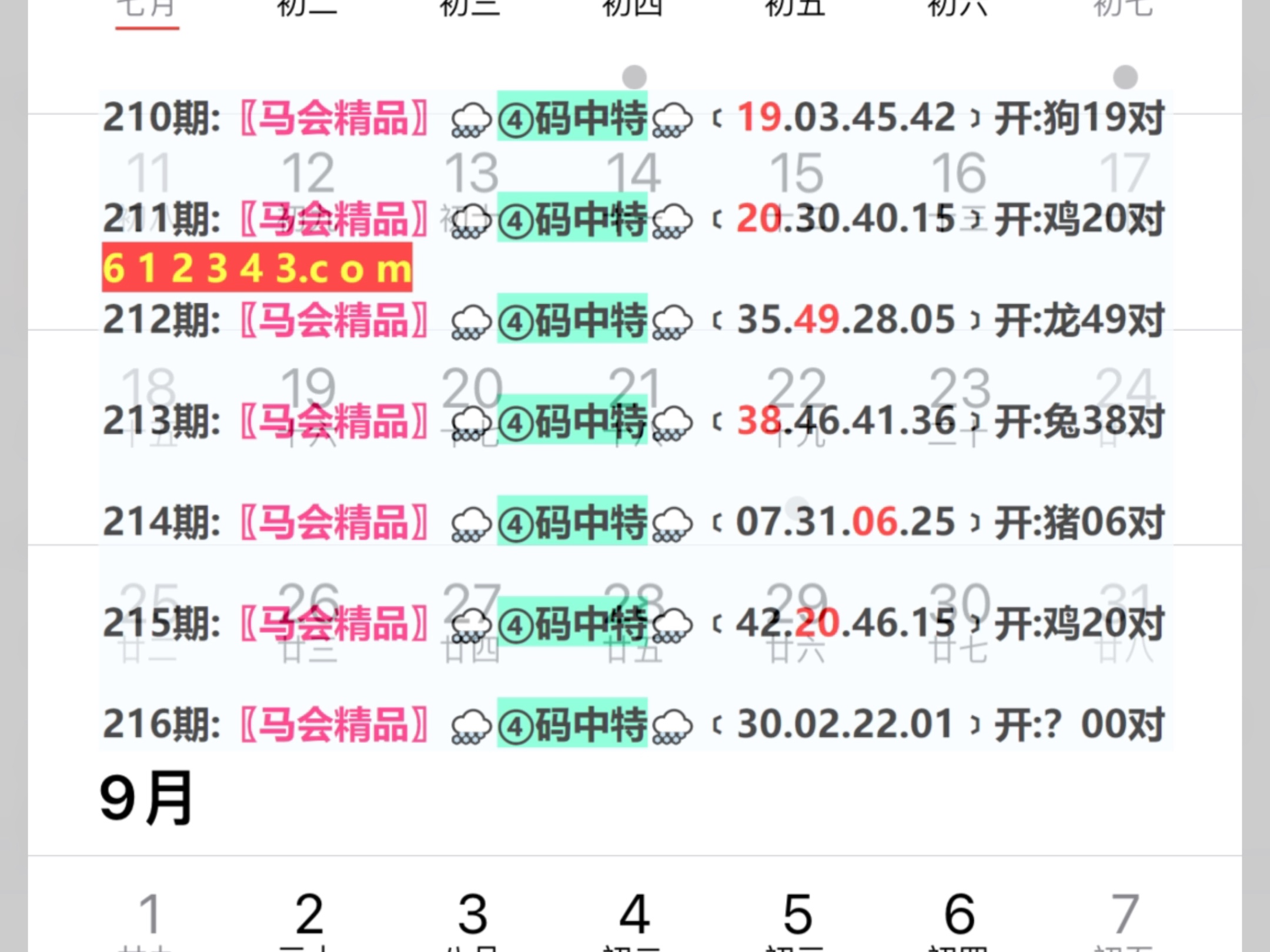 2024年新奥门天天开彩免费资，效率资料解释落实_精英版8.392