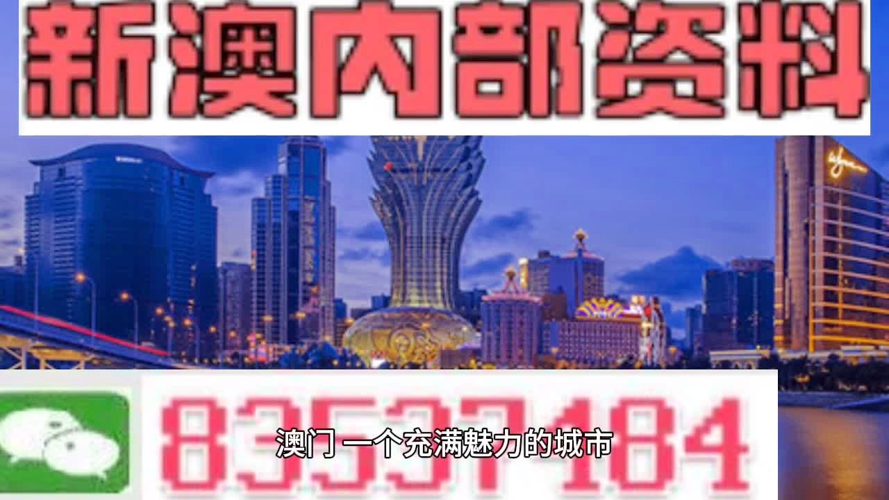 新澳门三期必开一期，效率资料解释落实_精英版8.382